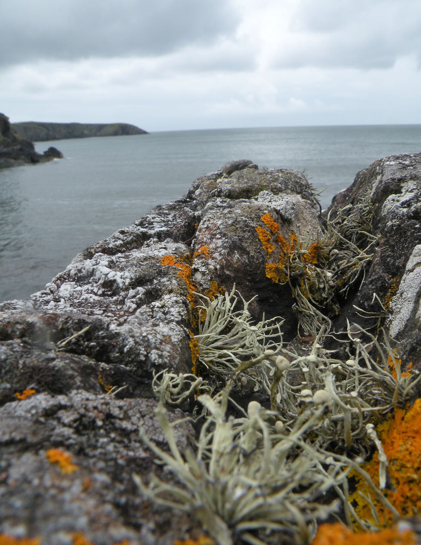 Sugli scogli del Galles